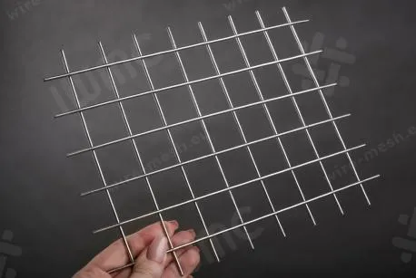Welded stainless steel wire screen 30x2,5 in rolls - photo 2